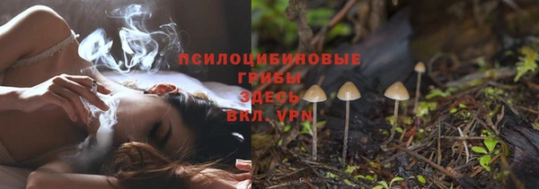 mdpv Богданович