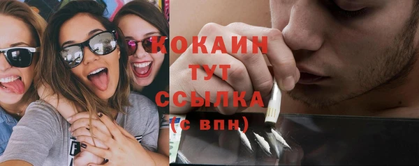 дурь Бронницы