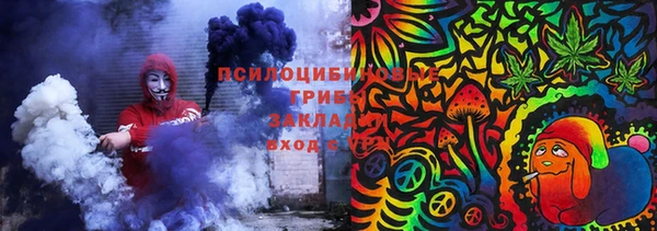 mdpv Богданович