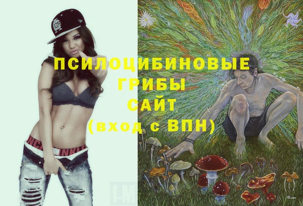 сатива Богородск