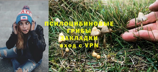 mdpv Богданович