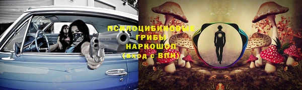 скорость Богородицк