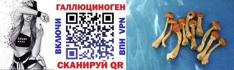 Галлюциногенные грибы мицелий  Городец 