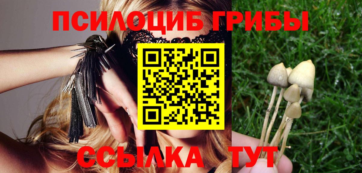 Городец  Псилоцибиновые грибы ЛСД  где продают   Вход с VPN 