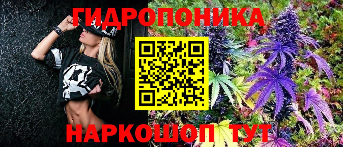 Конопля гибрид Городец